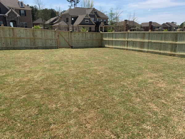 Backyard Privacy Fence Gate