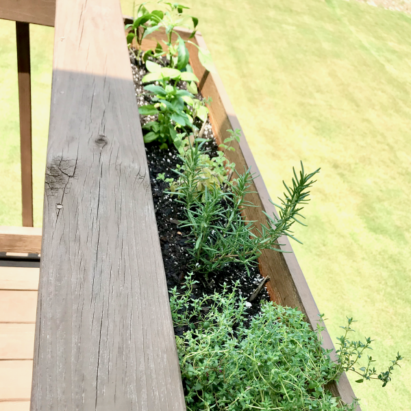 DIY Herb Garden Planter Box